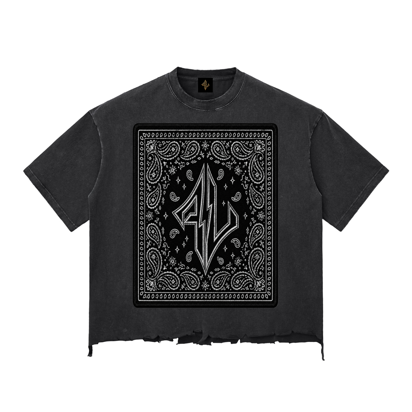 FASTLIFE BLK Bandanna Snow Wash Raw-Hem Boxy T-shirt