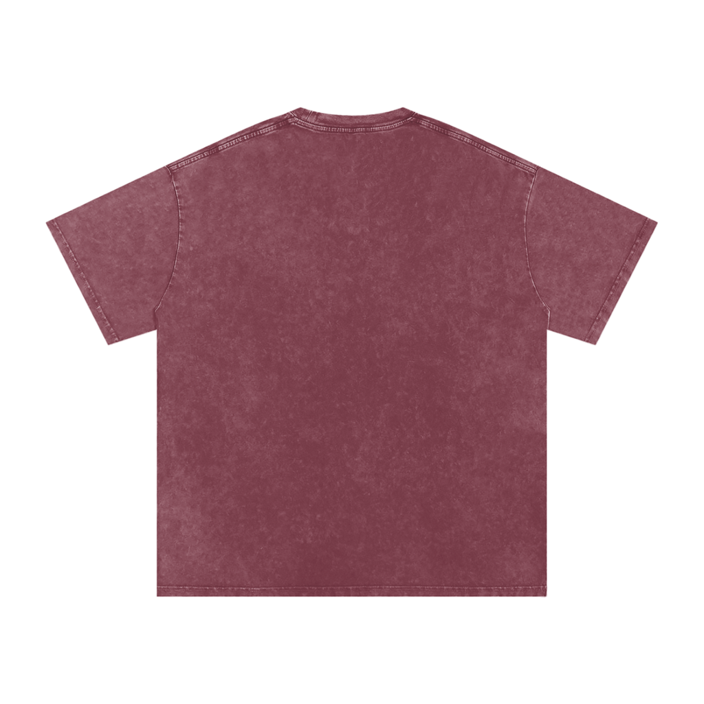 FASTLIFE racing Snow Washed Oversized Cotton T-Shirt