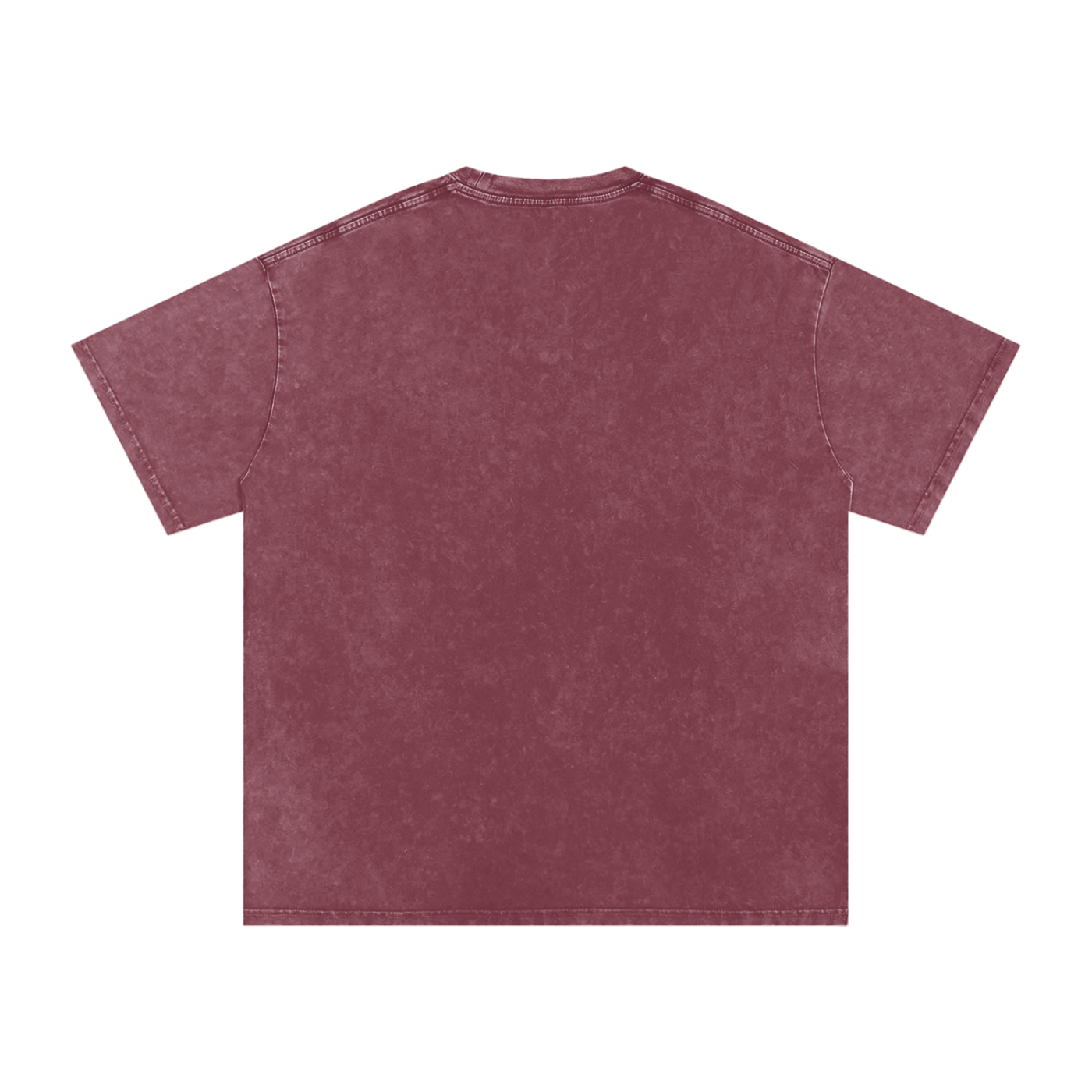 FASTLIFE racing Snow Washed Oversized Cotton T-Shirt